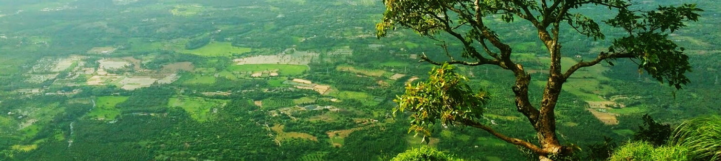 palakkad1